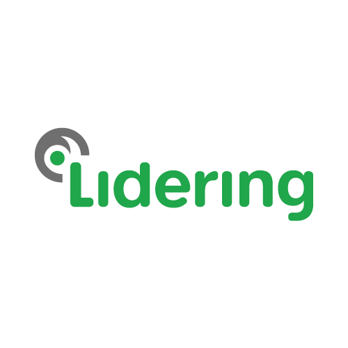 Lidering Safe Industry